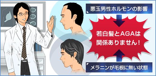 【医師が解説】AGAと若白髪の関係の画像