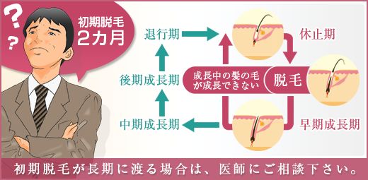 【医師が解説】2ヶ月以上抜け続けたら初期脱毛ではない？の画像