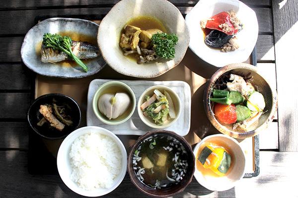 夏こそ重要！食生活を見直して季節性脱毛症を防ごうの画像